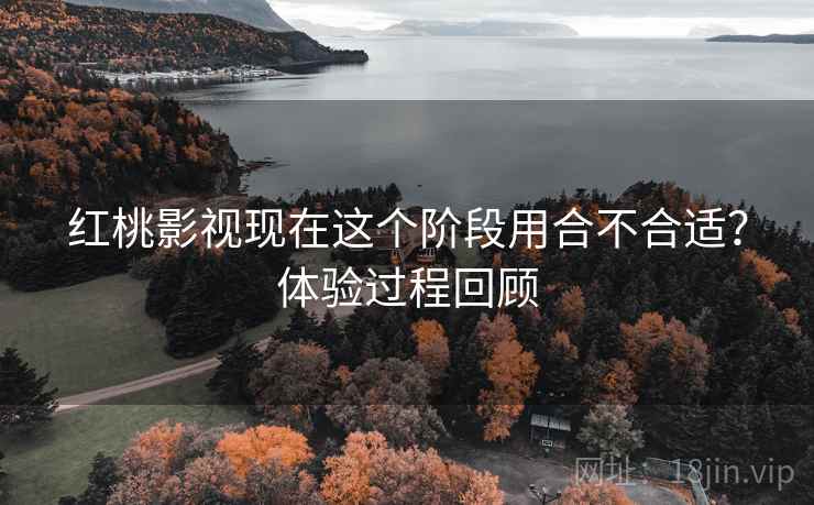 红桃影视现在这个阶段用合不合适？体验过程回顾  第1张