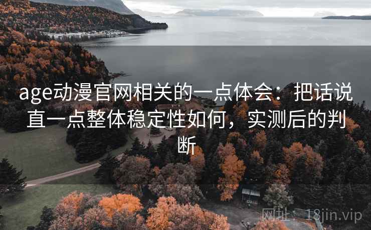 age动漫官网相关的一点体会:把话说直一点整体稳定性如何,实测后的判断