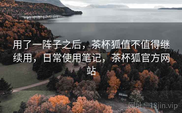 用了一阵子之后,茶杯狐值不值得继续用,日常使用笔记,茶杯狐官方网站